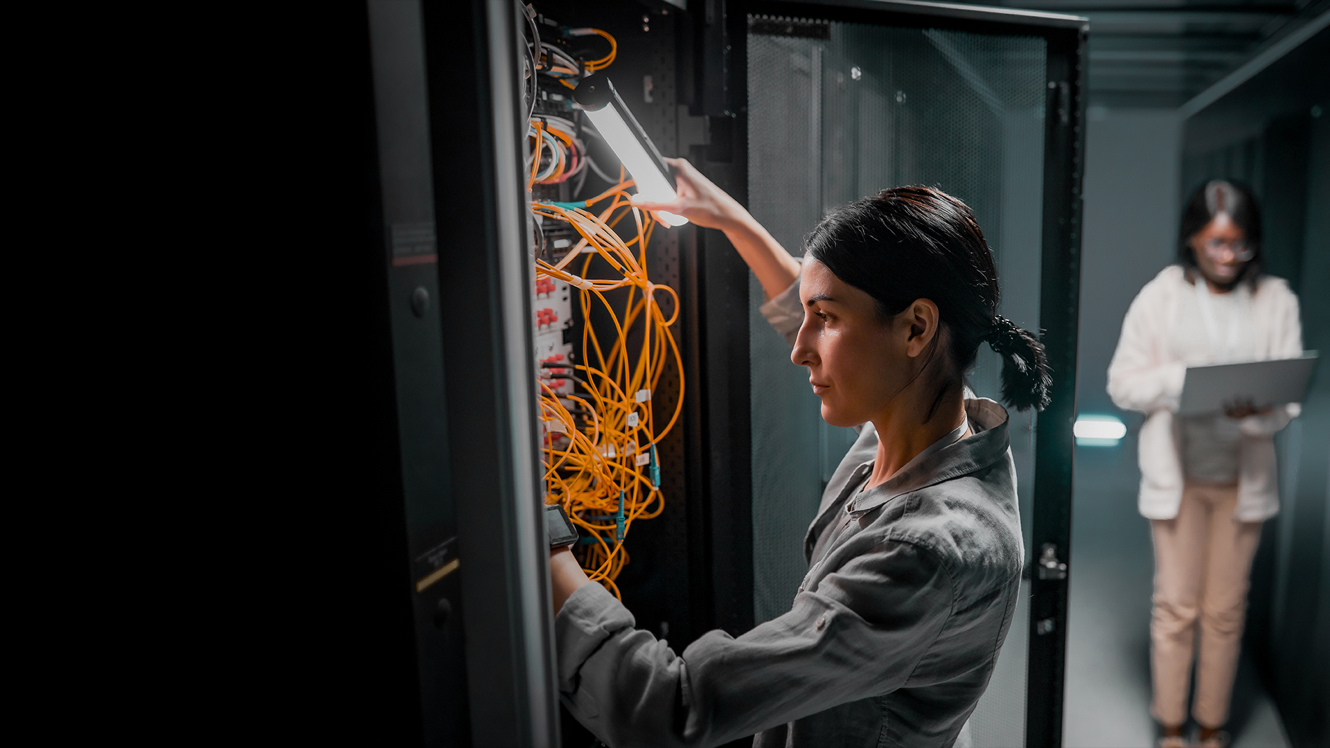 Woman Inspecting server network alt text