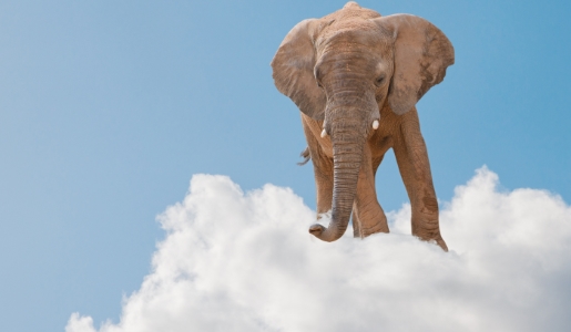 Addressing The Elephant In The Cloud